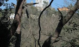 Tibidabo vist des del parc de Collserola 