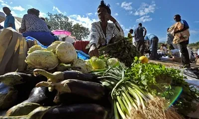 Foto: AFP/Luis Acosta, des del web de la FAO (Nacions Unides)