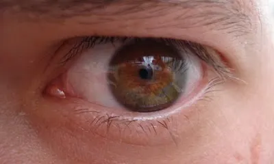 Foto exposada a "Cielo Andante", sota el títol "Ojo que te veo...despierta!"
