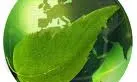 Impacte Ambiental