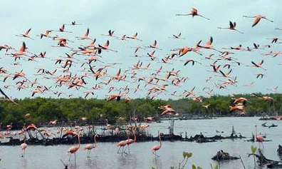 Fotografia d'un espai natural protegit