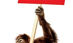 Dona un respir al orangutan!