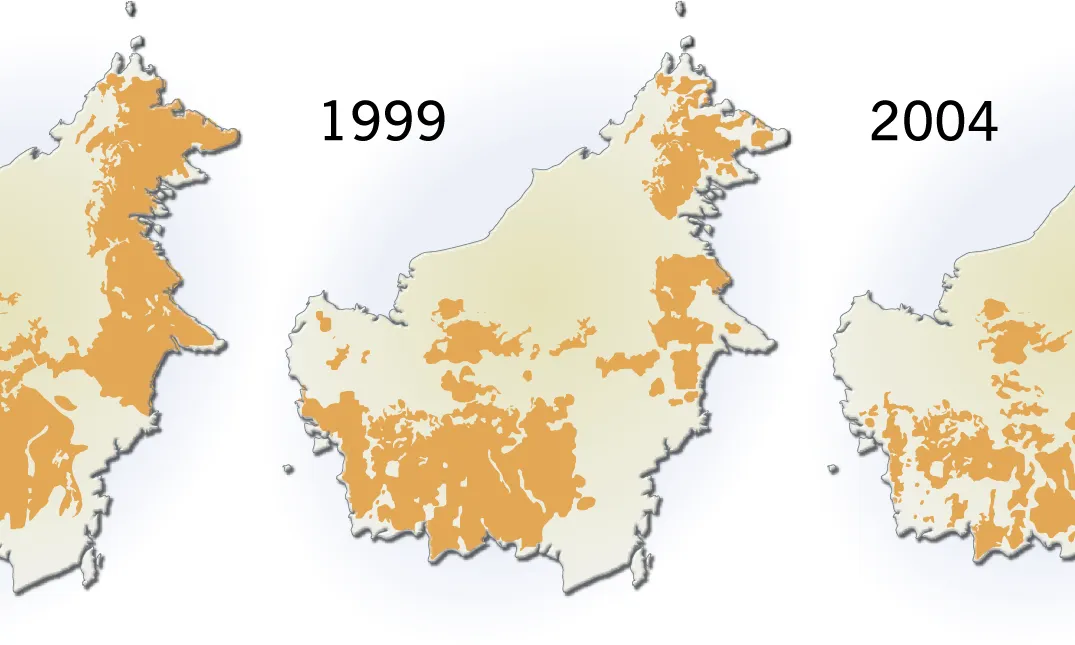 Reducció del habitat del orangutan de Bormeo