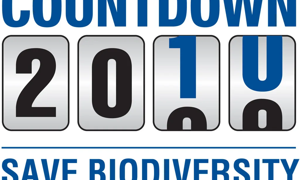 Countdown 2010