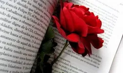 Sant Jordi, un tradicional llibre, i una rosa