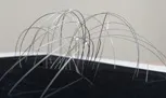 Símbol artístic atorgat amb el premi
