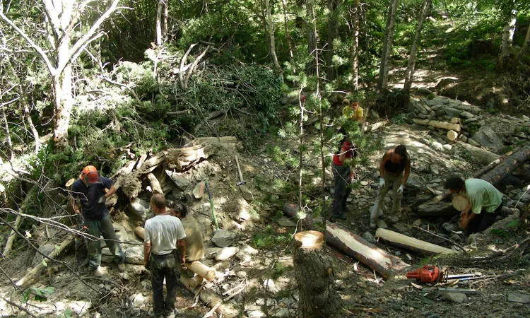 Imatge del Projecte Boscos de Muntanya (participants 2009)