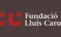 Fundació Lluís Carulla - VII Premis d’Educació en el Lleure