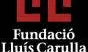 Imatge de la Fundació Lluís Carulla