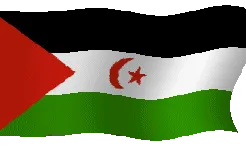 Bandera del Front Polisari