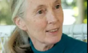 Jane Goodall