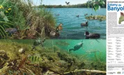 Col·lecció de pòsters “Ecosistemes de Catalunya”: Estany de Banyoles