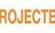 logotip de Projecte Home