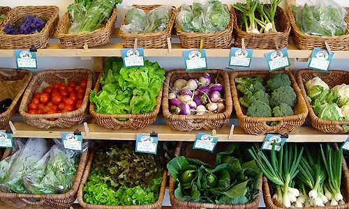 Aliments ecològics