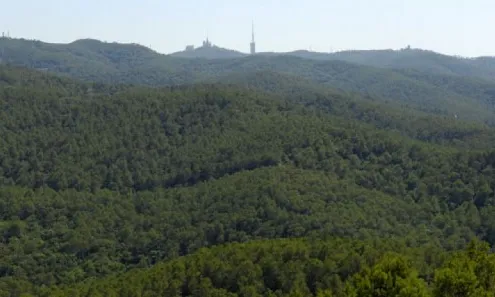 Parc Natural de Collserola