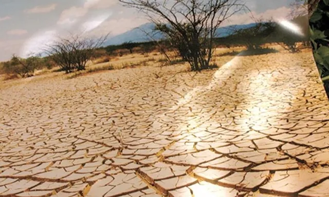 Imatge sequera Banya d'Àfrica