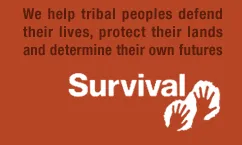 Survival monitoritza els drets dels pobles indígenes, com també ho fa AI.