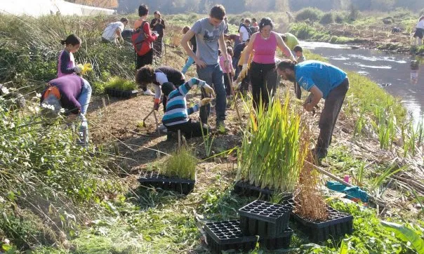 Actuació de voluntaris al riu Ripoll a Sabadell (foto: ADENC)