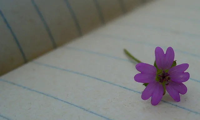 Llibreta de notes amb una flor_Manel_Flickr Llibreta de notes amb una flor_Manel_Flickr