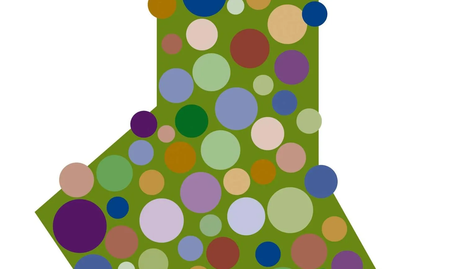 Cartell de la Fira d'Entitats de Navarcles