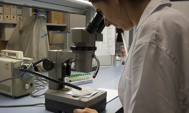 Foto àmbit laboral: "El treball de la dona en la ciència" de M. Barrachina