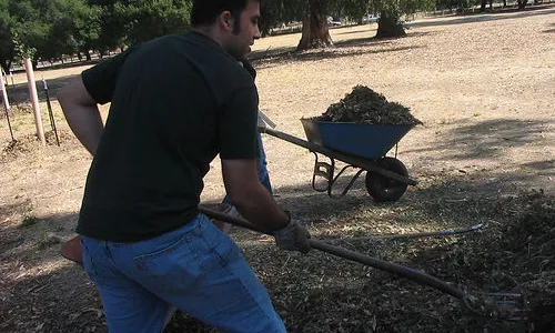 Noi fent voluntariat ambiental. Font: marioanima (Flickr)