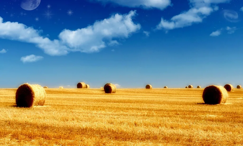 Exposició a plaguicides i agroquímics
