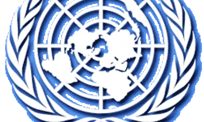 L'ONU va establir el DIV l'any 1985.