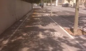 Carril bici per sobre la vorera (foto: La Vanguardia)