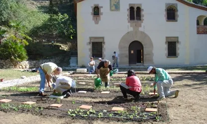 Hort de la masia del Jardí Botànic (foto: amicsjbb)