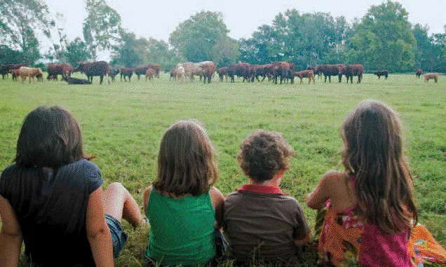 Custòdia Agrària (foto: IAEDEN)