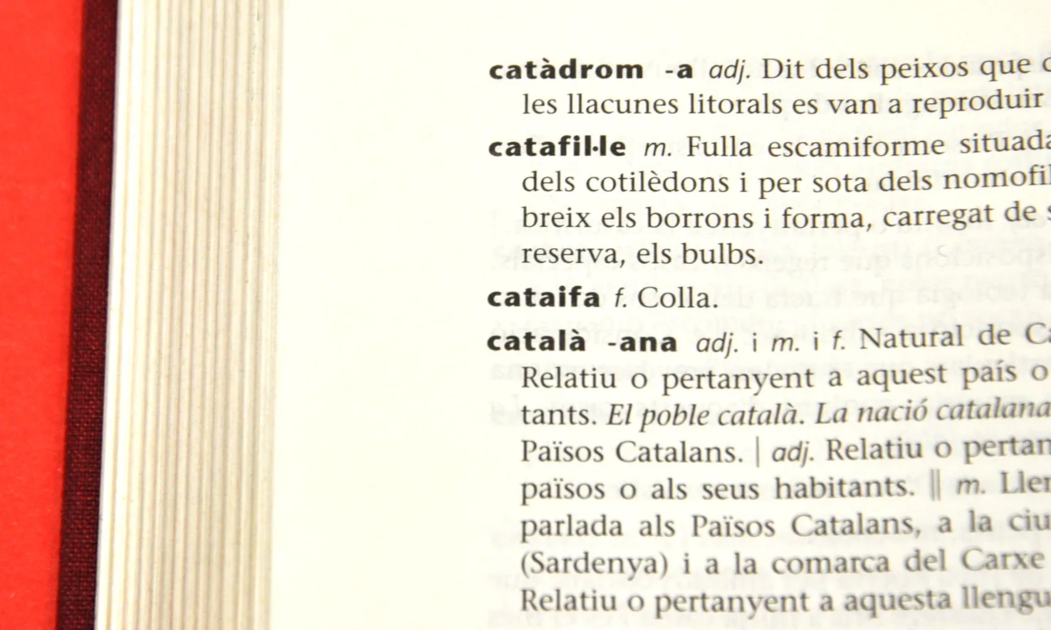Imatge d'un fragment de diccionari