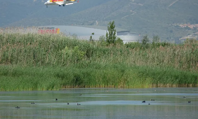 Delta del Llobregat (foto: flickr (Àlex Rollan Vallbona)