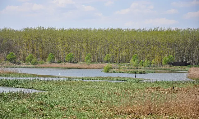 Estany de Sils (foto: flickr (FAlixGP)