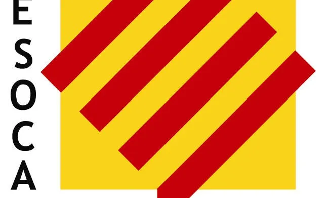 Logo FESOCA