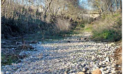 Tram del tram baix del riu Gaià (foto: Associació Mediambiental La Sínia)