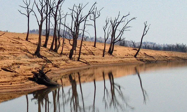 Imatge d'una llera de riu desertitzada, de Tim Keegan (flikr)