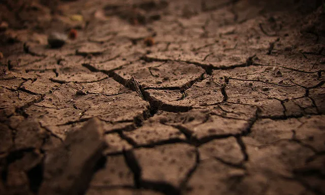 Imatge de terra esquarterada, de Claudio Sepúlveda Geoffroy (flikr)