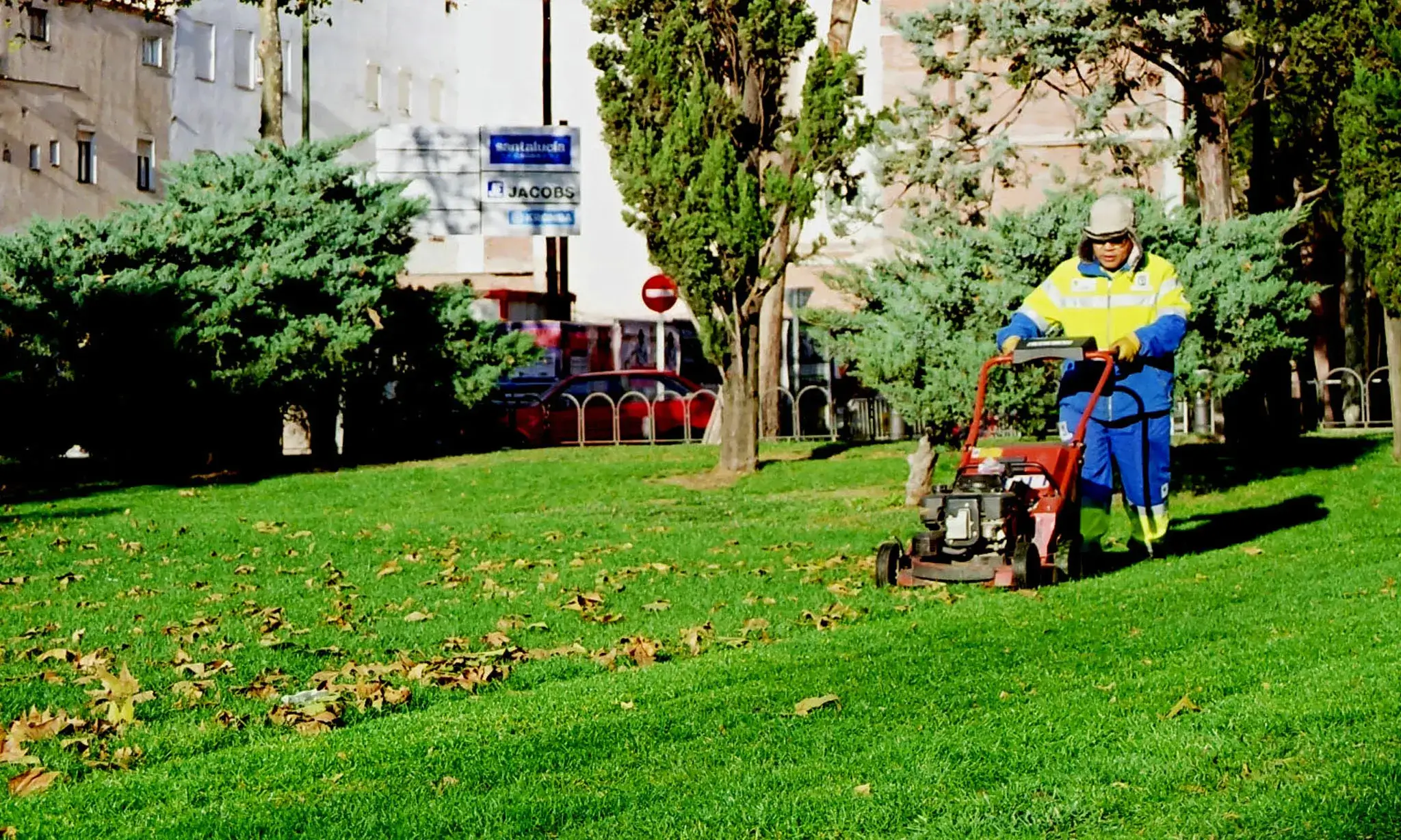 Jardineria Font: Banc d'imatge del Ministeri d'Educació, Cultura i Esports