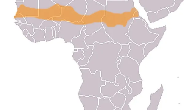 La zona oest del Sahel és la més amenaçada