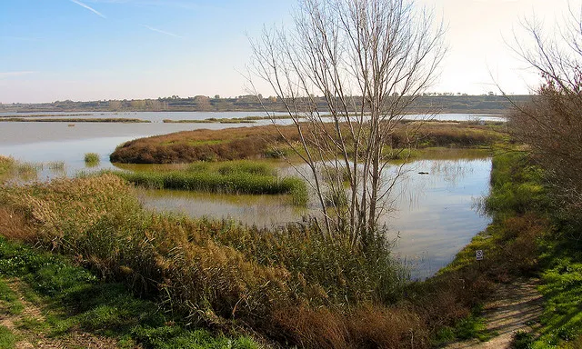 Estany d'Ivars (foto: flickr, Joquer)