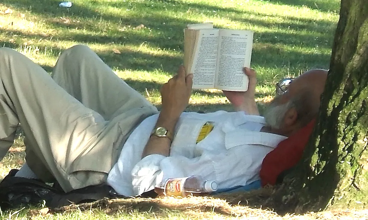 Avi llegint sota un arbre