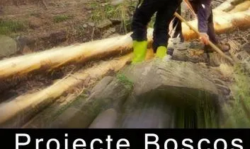 Una setmana al bosc, amb Projecte Boscos de Muntanya