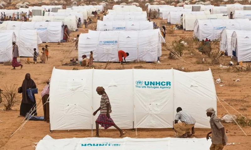 Camp de refugiats de Dadaab (Kènia). ACNUR / B. Bannon / Juliol 2011