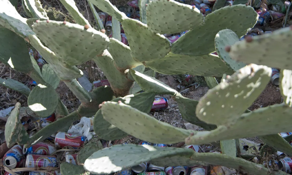 Fotografia de deixalles d'envasos en un entorn natural