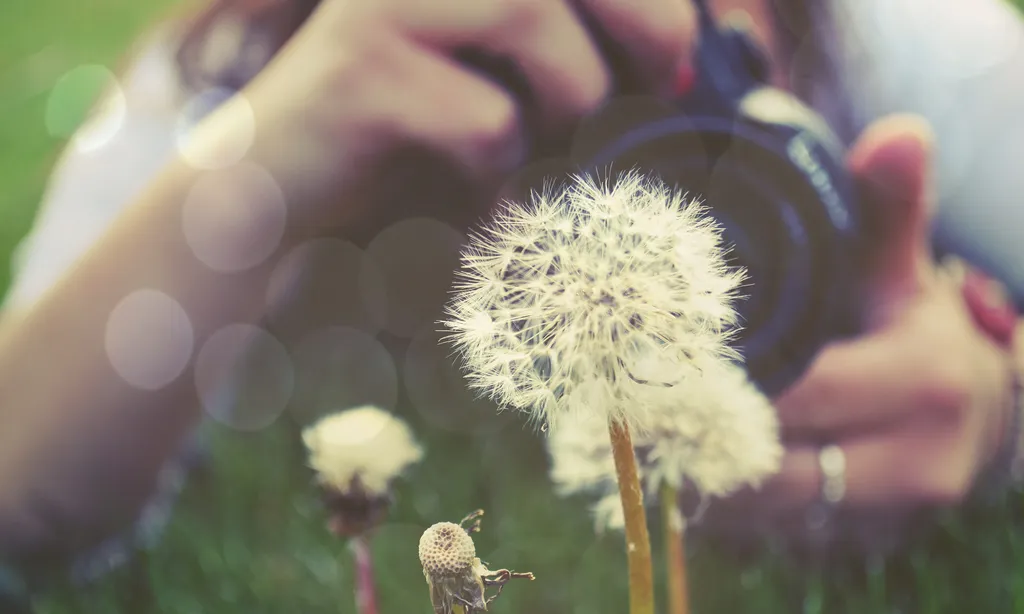 Make a Wish - Colton Witt Photography - Flickr Make a Wish - Colton Witt Photography - Flickr