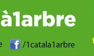 1català1arbre