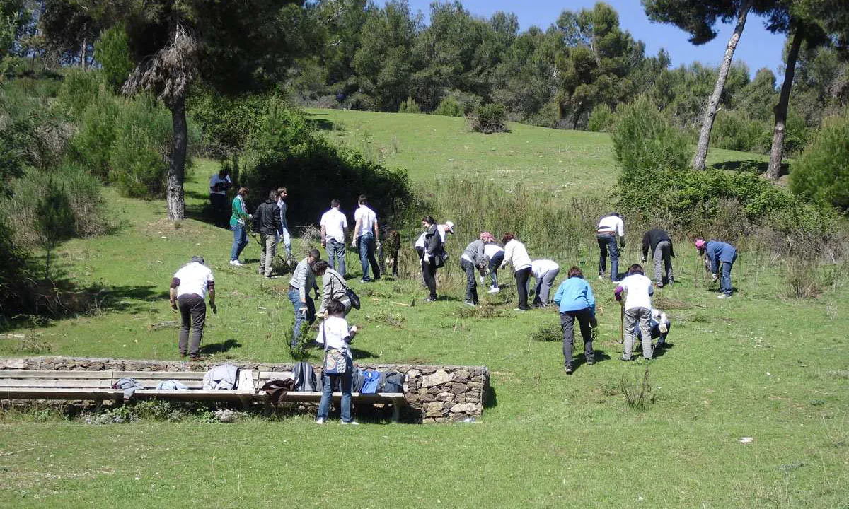 (foto: Consorci del Parc Natural de la Serra de Collserola)