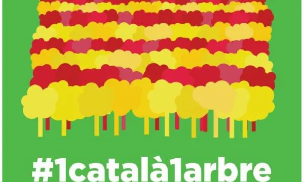 1Català1Arbre