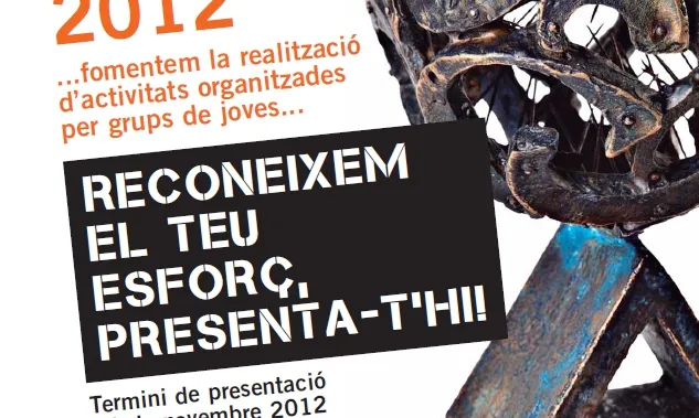 Cartell del Premis Jove, proposa! 2012